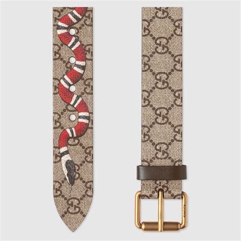 cintura in tessuto gg supreme con kingsnake gucci